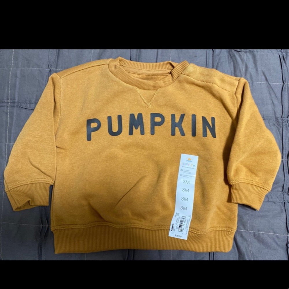 NWT Lauren Conrad Little Co. Pumpkin Sweatshirt Pullover 3 Months
